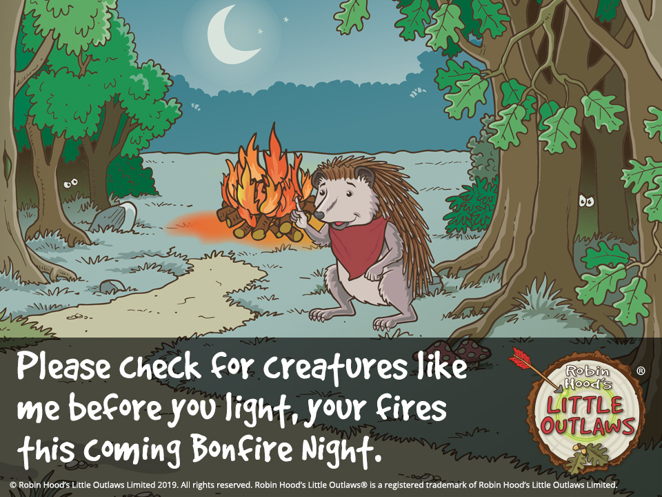 Scarlet the hedgehod warning of Bonfire Night 2019 danger to animals